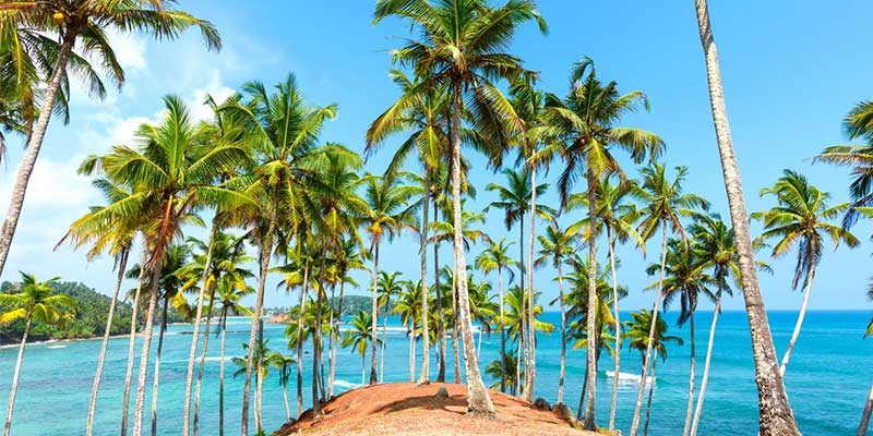Srilanka visa for indians